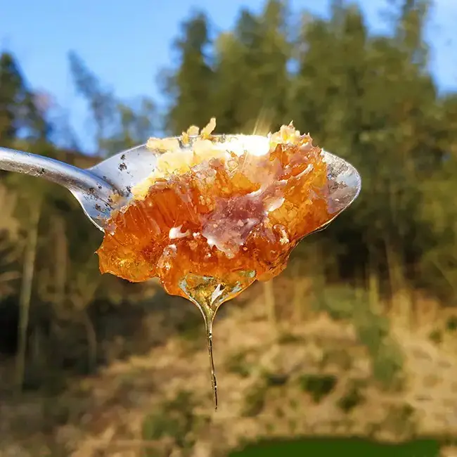 wild Chinese honeybee Study on the Honey Quality and Comparison At an altitude of 2000 meters 2 honey