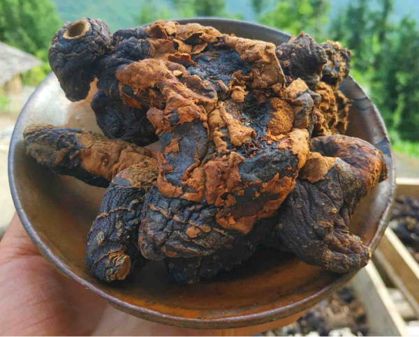 terroir terroir