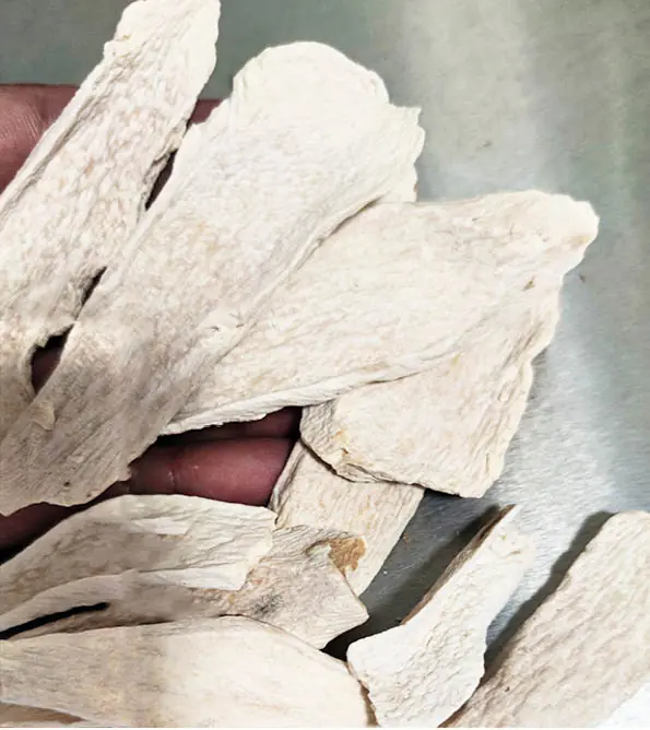 20years of wild yams are the saviors of human health You need them 1 665985kk522 1
