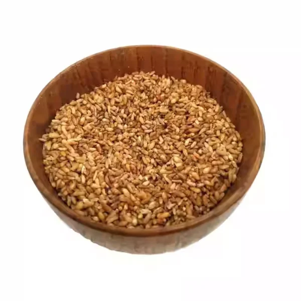 柏子仁 platycladi seed
