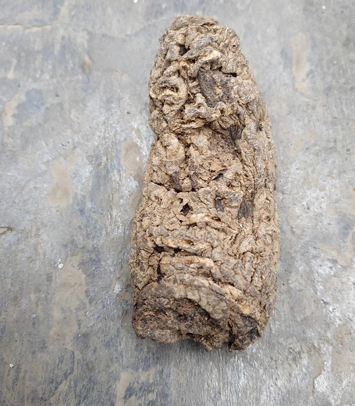 Sulfur free rehmannia root Sulfur free rehmannia root