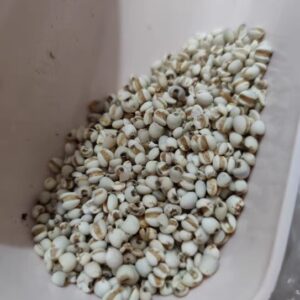 Coix seed