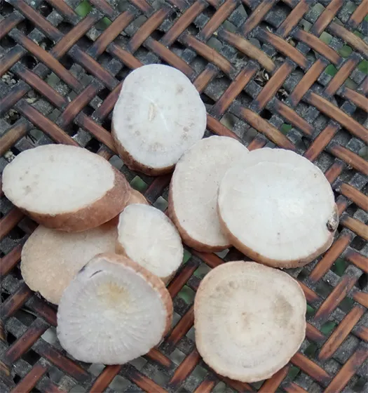 Sulfur-free Radix Paeoniae Alba parched white peony root