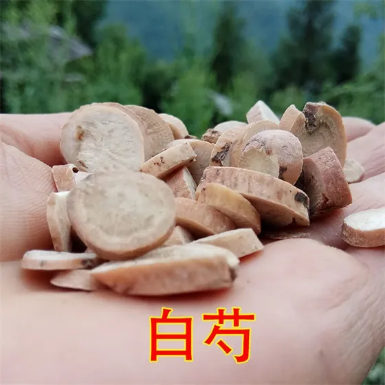 White Peony Root | 100% Wild Harvested Premium Bai Shao Sulfur-free and all-natural 2 山子堂 | 山子堂