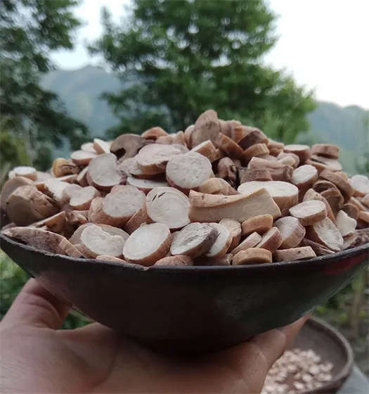 White Peony Root | 100% Wild Harvested Premium Bai Shao Sulfur-free and all-natural 1 white peony root