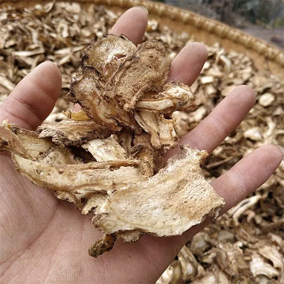 Organic Wild Angelica Sinensis Root | 500g Dang Gui Whole Herb 3 当归片500克 當歸 angelica sinensis 中药材当归图片 | 山子堂