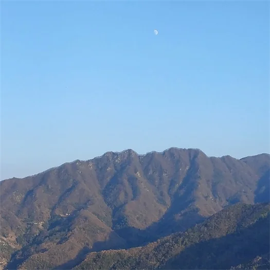 深山 huge mountain
