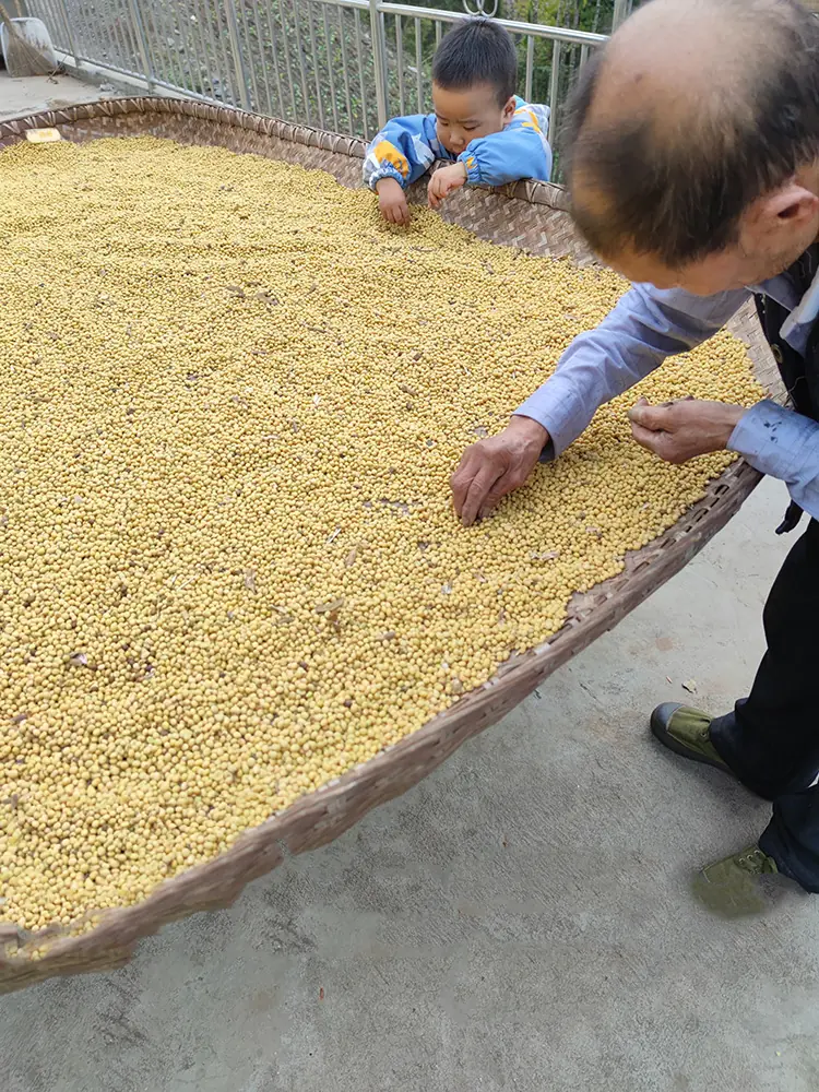 Select soybeans Select soybeans