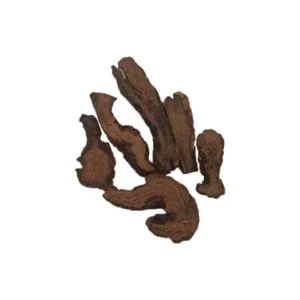 cynomorium songaricum