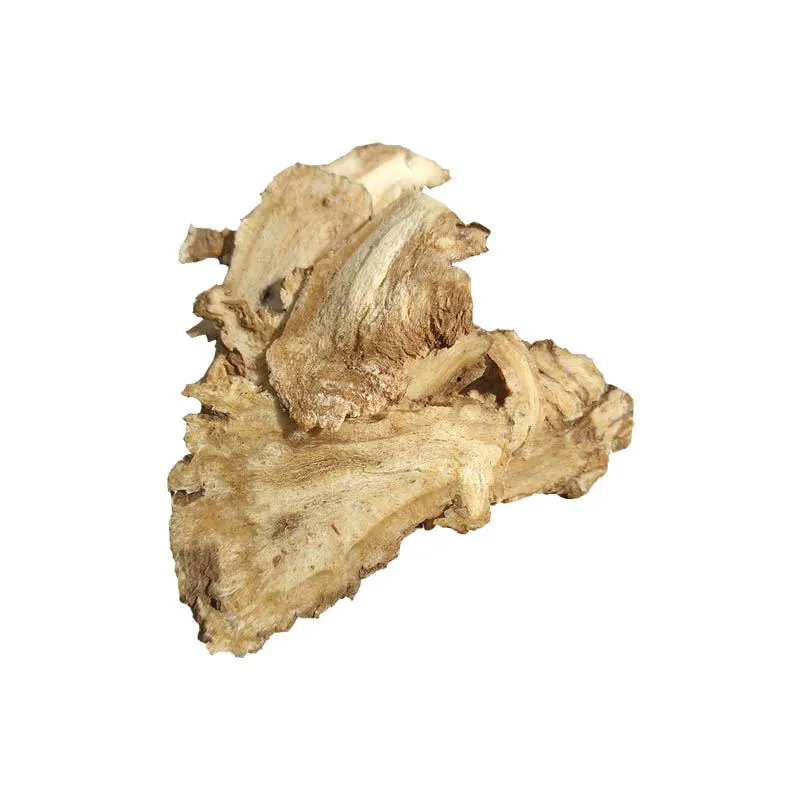 Organic Wild Angelica Sinensis Root | 500g Dang Gui Whole Herb 1 angelica sinensis root