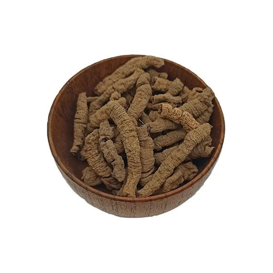 Morinda officinalis Morinda officinalis
