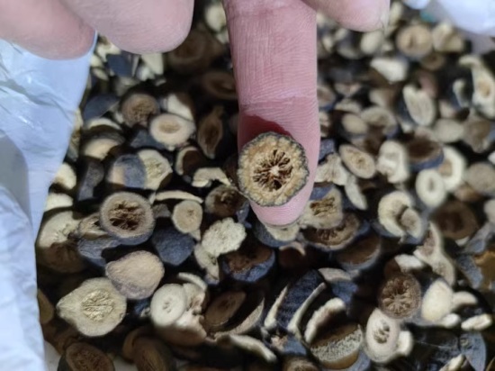 Fructus Aurantii Immaturus Fructus Aurantii Immaturus