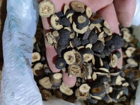 Wild Premium Immature Bitter Orange Whole Fruit 100% Natural Herb 2 细节:野生鹅眼枳实500克 无硫枳实 正品中药材枳实 | 山子堂