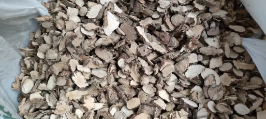 wild Grassleaf Sweet Flag