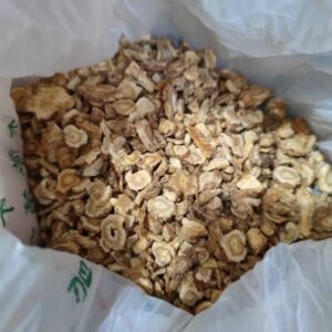 Sand ginseng