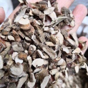 Sweetflag Rhizome