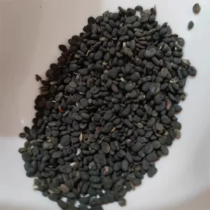 Dried Babchi Seeds