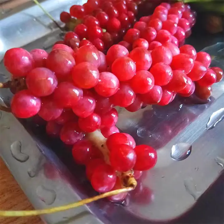 wild Premium Schisandra Chinensis 100% Natural Dried Berry Whole top 2 山子堂 | 山子堂