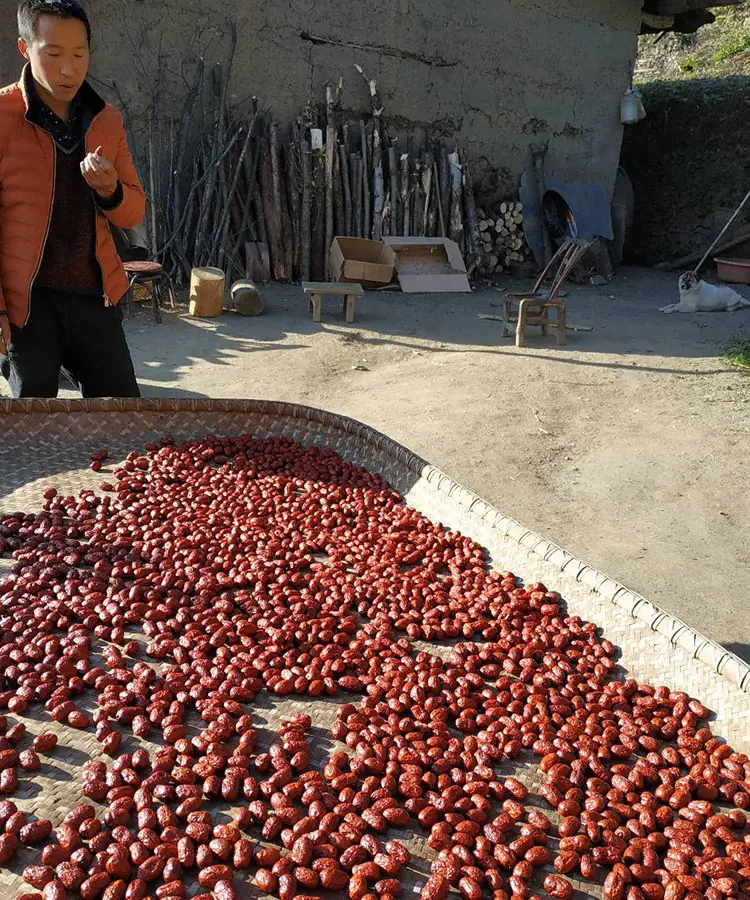 Premium Red Dates Jujube 100% Natural Dried Fruit Superfood 4 山子堂 | 山子堂