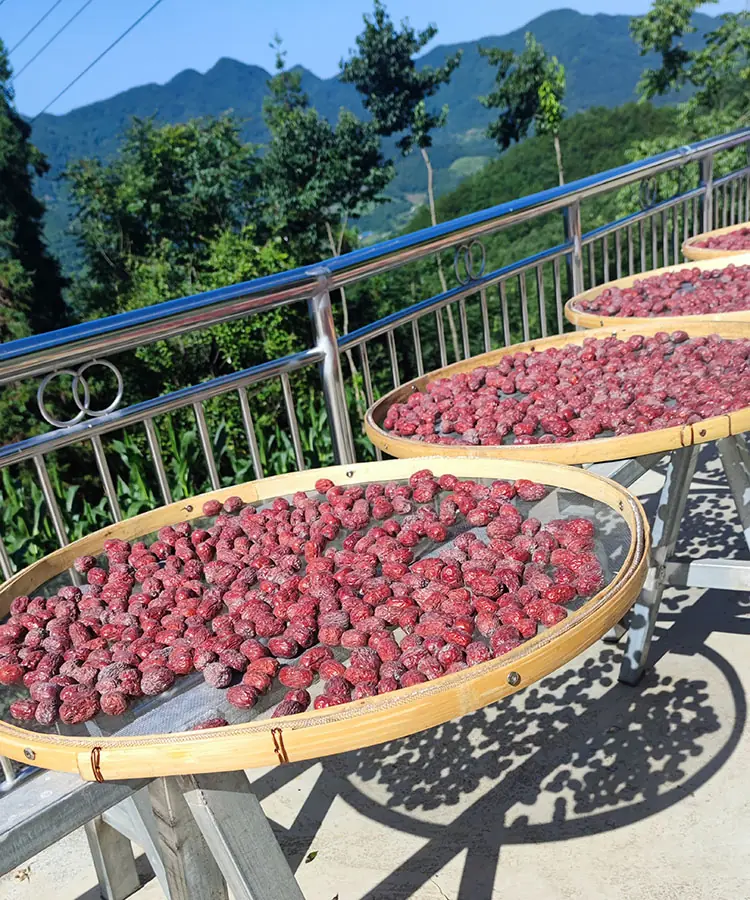 red dates red dates