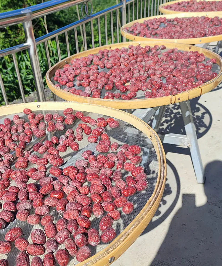 red jujube red jujube