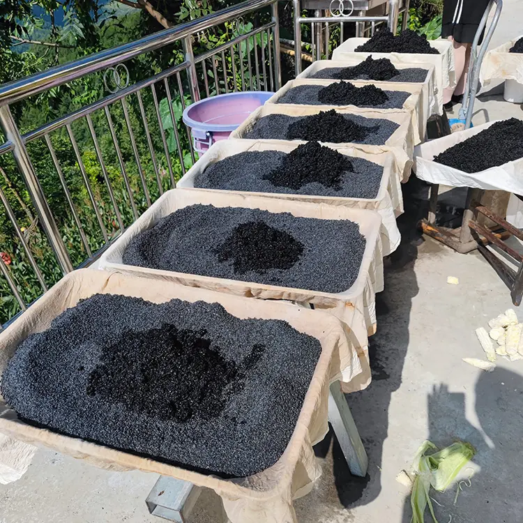 有机优质黑芝麻籽 100% 天然超级食品 野生无添加剂 3 Brown sesame, black sesame