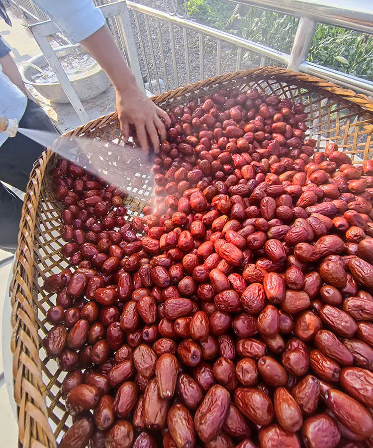 Xinzheng jujube Xinzheng jujube