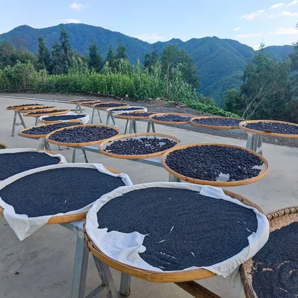 Wild Chinese medicinal herbs and agricultural products website 2 black sesame