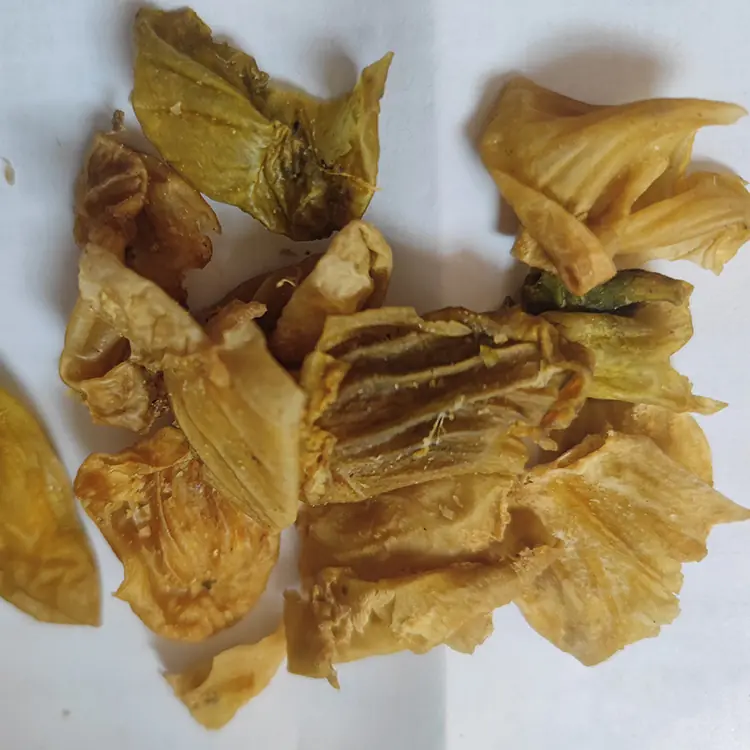 dried chicken gizzard skin