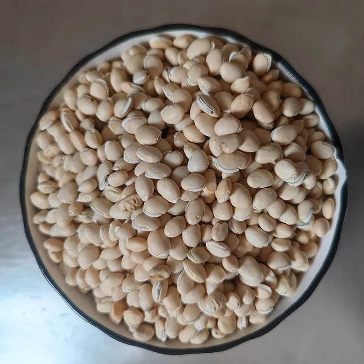 白扁豆 white lentils