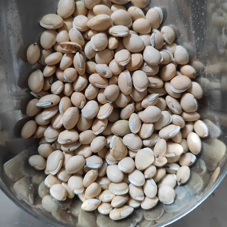 白扁豆500g White lentils 500g