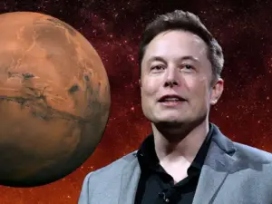 Musk Musk